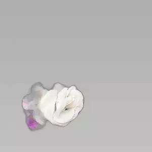 조화 인조꽃인테리어소품 벽장식 포토월 포토존 플