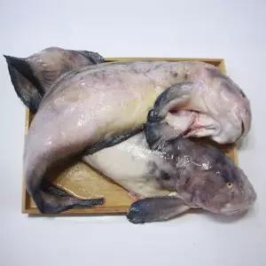 국내산 생물 손질 물메기 1-2미 1.5kg