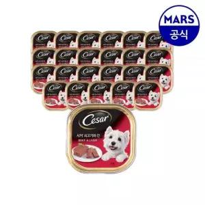 시저 강아지 습식캔 밥 쇠고기와 간 100g 24개