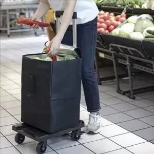 [골드스마일]접이식 미니 카트 여행용 쇼핑 보조카트 손잡이형 폴딩