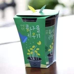 어린이 새싹 재배 키트 가족 식물 키우기 키트 씨앗 성장