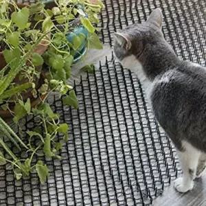 새 스파이크 비둘기 침입방지 퇴치 야생동물방지 조류 야생동물그물 고양이