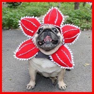 겨울 재미있는 고양이 모자 데모고르곤 무서운 꽃 의상 생일 애완동물 액세서리 용품 애완견 머리 장식 조