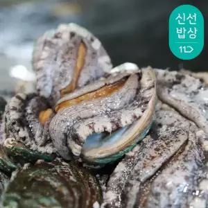[바다마을] 완도 참 전복 활전복 특대 10-11미 1kg 