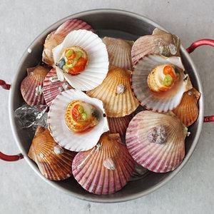 국내산 고흥 홍가리비 1kg 외/사이즈선별/AJ