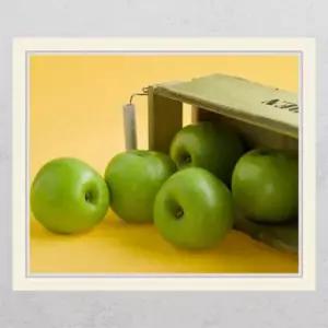 아트박스 꾸밈 ts319-굴러온풋사과_창문그림액자