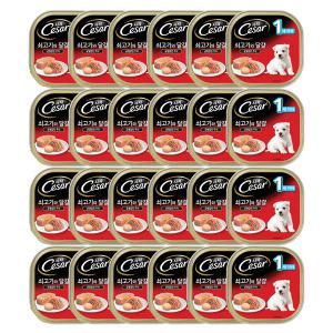 시저 1세이하 쇠고기와 달걀 캔 100gx24개(1BOX) / 강아지캔