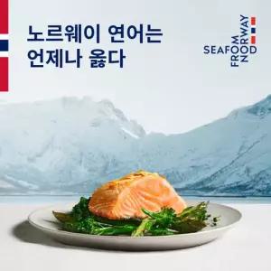 은하수산 슈페리어등급 노르웨이 생연어 500g
