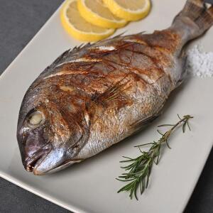 여수한가네 손질 참돔3미(400g내외x3팩)