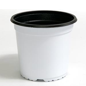 new 이색포트 150(흰색) 비닐포트 플라스틱화분 모종