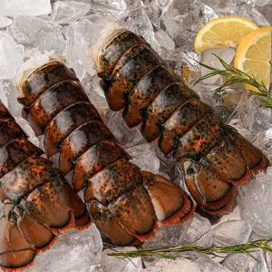 [롯데백화점]물맛남 랍스터테일 특사이즈 2미/미당 120-130g