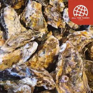 고흥 산지 각굴 4kg