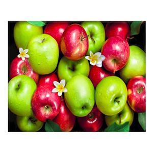 DIY 보석십자수 재물과 행운의 청홍사과 40x50cm 캔버스형