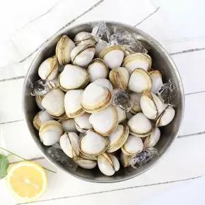 [NS홈쇼핑]서해안 동죽(물총조개) 2kg[35046728]