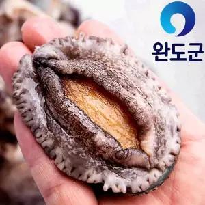 [NS홈쇼핑]산지직송 완도미역 먹고자란 완도전복 9-10미 1kg 특대 / 활전복 전복 명절선물세..[35085817]