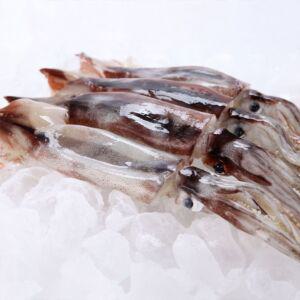 동해 통찜용 급냉 오징어 1kg