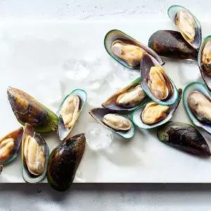 뉴질랜드 그린홍합 M 자숙 800g 반탈각 (초록입홍합)