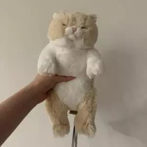 아트박스/콤비니 선레몬 무릎인형 잠자는쓰야쓰야 미니 고양이 인형CR