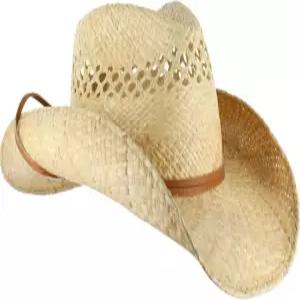 스테츠슨 남성 빨대