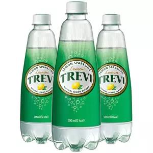 롯데 트레비 레몬 500ml x 24pet