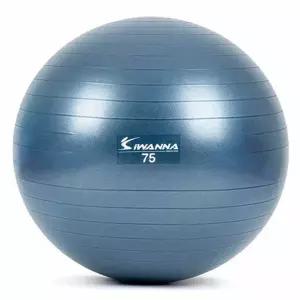 마사지짐볼 다이어트짐볼 마사지볼 짐볼 블루 75cm