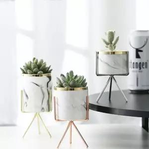 다육이 선인장 화분 고급 인테리어 소품 거치대 세트 실내식물 미니가드닝 식물용 토분 공간활용 배치 이화