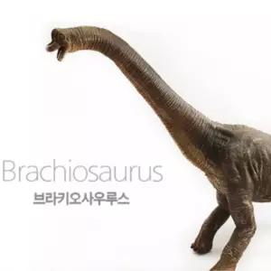 5세 리얼 관찰 브라키오사우르스 공룡 모형 완구 미니어처 장난감 유아 소프트 피규어 어린이집 교육용 역