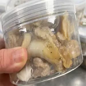 [맛] 자숙 손질 백골뱅이 250G 캠핑메뉴