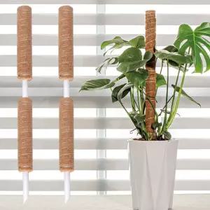 코코넛 수태봉 몬스테라 식물지지대 연결형 플라스틱 지주대 홈가드닝