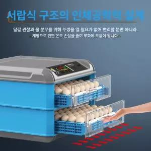 병아리부화기 청계알 메추리 조류 자동 단일 거위