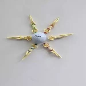 (선택 SDG 비키니 골프티 6P1set)지앤지비키니 골프티 6P set 골프티 골프악세사리 골프기념품 골