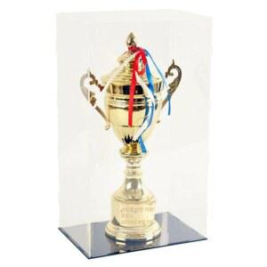 아크릴 트로피 보관함 피규어케이스 피규어보관함 디오라마 진열장 투명 양문