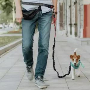 대형견 리드줄 핸즈프리 산책줄 강아지 허리벨트
