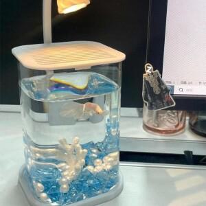 수족관 설치용 고투명 아크릴 풍경 어항 LED 조명 포함 뚜껑 있는 금붕어 파손 방지