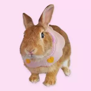 반려동물 턱받침 B 소 애견스카프 고양이스카프 토끼