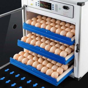 중신부화기 전란틀 병아리 부화기 부하기 종란 육추기