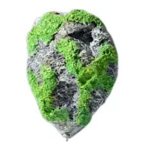 [알티피아]돌 모형돌 인공 수조돌 이끼 모형돌구매 모형돌