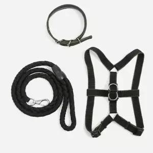 하네스 리드줄 목줄 세트 블랙 강아지 산책 xs