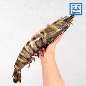 훈훈수산 블랙타이거새우 1마리 대왕 킹타이거새우 40cm