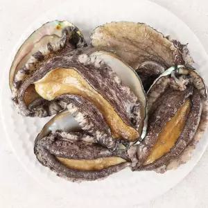 완도 왕특대 활전복 1.5kg 13-15미 부직포선물포장