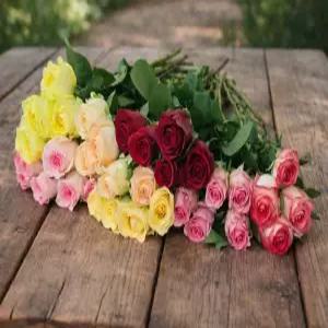 꽃 생화 랜덤 장미 5송이 출산 생일 승진 축하 위로 감사 택배 꽃배달 인테리어 선물