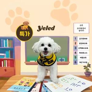 [LIVE11 특가] 옐레드 유치원 횟수권 /한달권 / 호텔 / 애견유치원 애견호텔