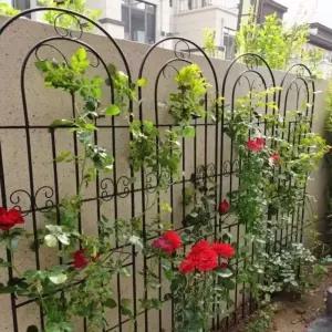 오벨리스크 넝쿨 지지대 가든 울타리펜스 직경 장미 주택