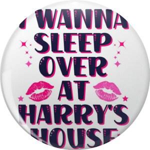 해리의 집에서 자고 싶어요 쿨 퍼니 싱어 티 핀 라펠 귀여운 브로치 배지 0.75