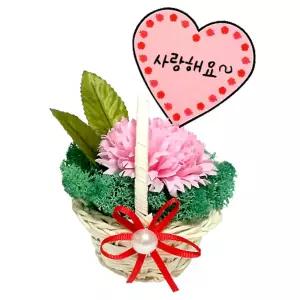 스칸디아모스 비누꽃 카네이션 미니바구니 만들기/만들기재료/선물/선물용꽃/선물용조화/어버이날꽃/어버이