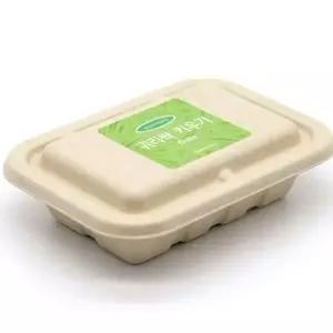 알파파 새싹 채소 재배 키트 화분 새싹 채소 키우기 유채