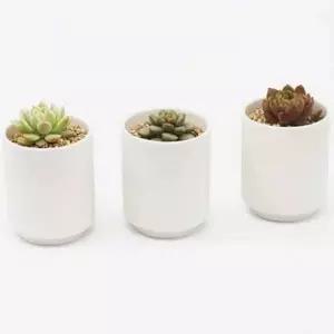 모던 다육 화분 깔끔 세라믹 화분 인테리어 백토 소형 도자기