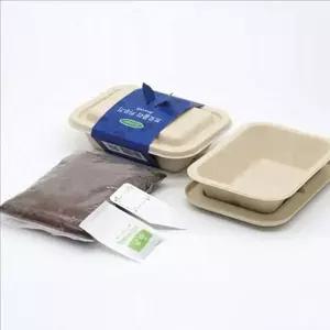 어린이 브로콜리 키우기 키트 화분 새싹 채소 재배 키트 식물