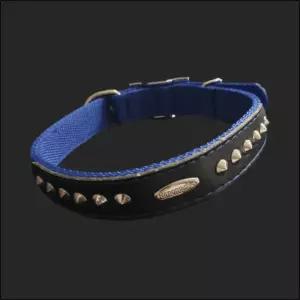 PP별목줄 개목 25mm 60cm 파랑 러프웨어애완 강아지목걸이 산책 반려견 댕댕이 애견