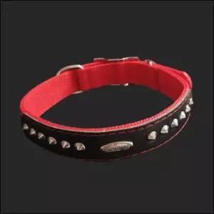 PP별목줄 개목 25mm 60cm 빨강 러프웨어애완 강아지목걸이 산책 반려견 댕댕이 애견
